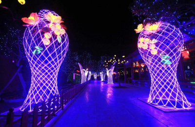 自貢燈會(huì)——夢想花籃